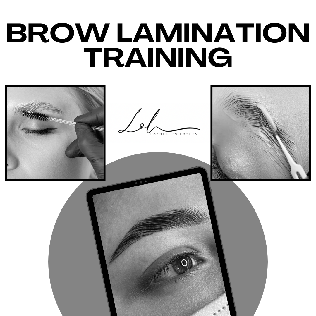 Brow Lamination, Tint, and Wax Training Lashes On Lashes